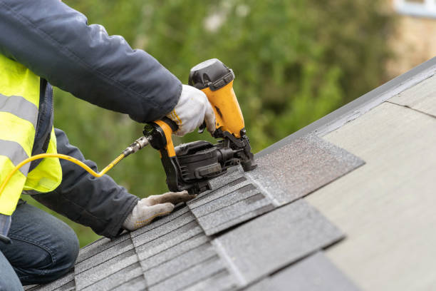 Best Roof Maintenance and Cleaning  in Chicopee, MA